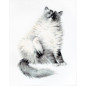 Embroidery kit Micky Embroidery kit Micky