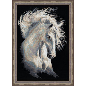 Riolis Embroidery kit Andalusian character