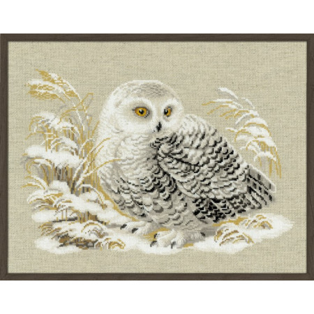 Riolis Borduurpakket Witte Uil