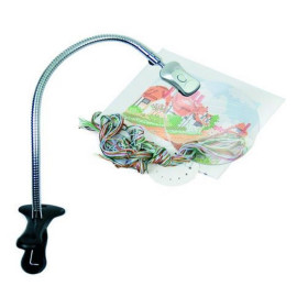 Magnifying lamp with clips