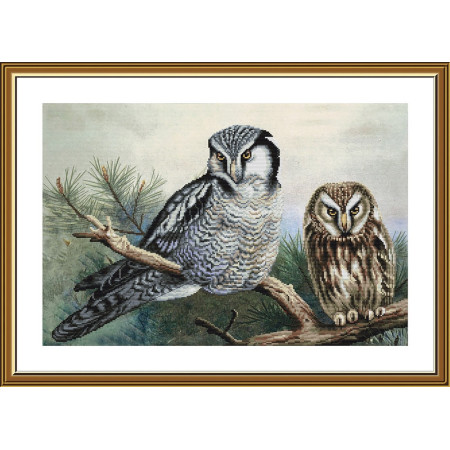 Embroidery kit Owls