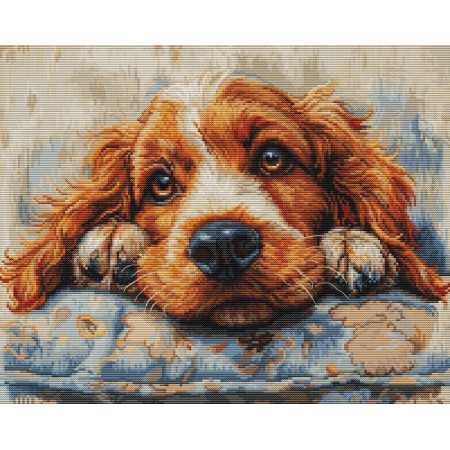 Stickset Cocker Spaniel
