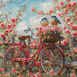 Borduurpakket Fiets met rozen Borduurpakket Fiets met rozen
