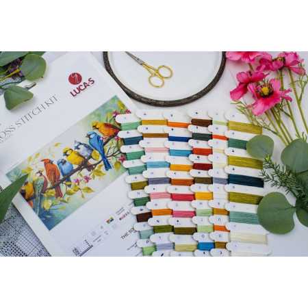Embroidery kit The Song of the Birds