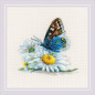Kit de broderie Beauté fragile