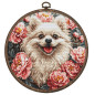 Embroidery kit Spitz Embroidery kit Spitz