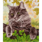 Stickset Katze