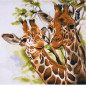 Borduurpakket Giraffen Borduurpakket Giraffen