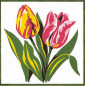 Borduurpakket Tulpen