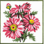 Embroidery kit Flowers 3