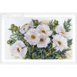 Borduurpakket Witte bloemen Borduurpakket Witte bloemen
