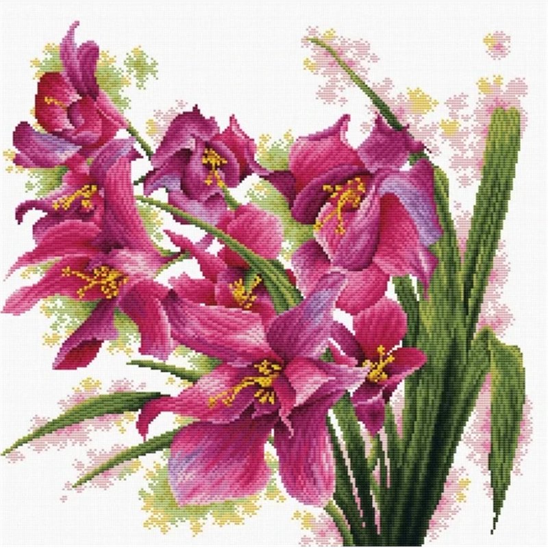 Borduurpakket Prachtige orchideeën Borduurpakket Prachtige orchideeën