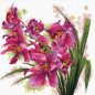 Kit de broderie Belles orchidées Kit de broderie Belles orchidées