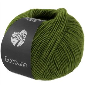 Lana Grossa Ecopuno 221 grasgroen