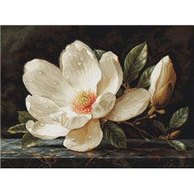 Luca-S Borduurpakket De Magnolia Dauw