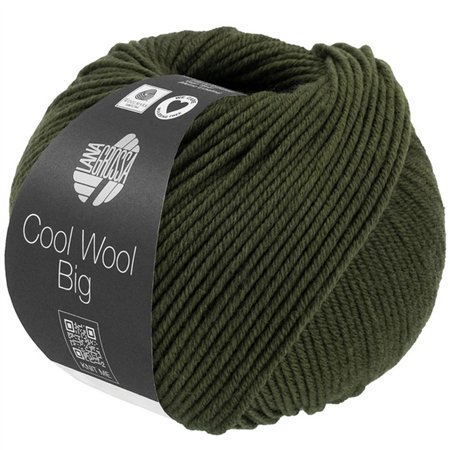 Cool Wool Big Mélange Lodengrün 1695