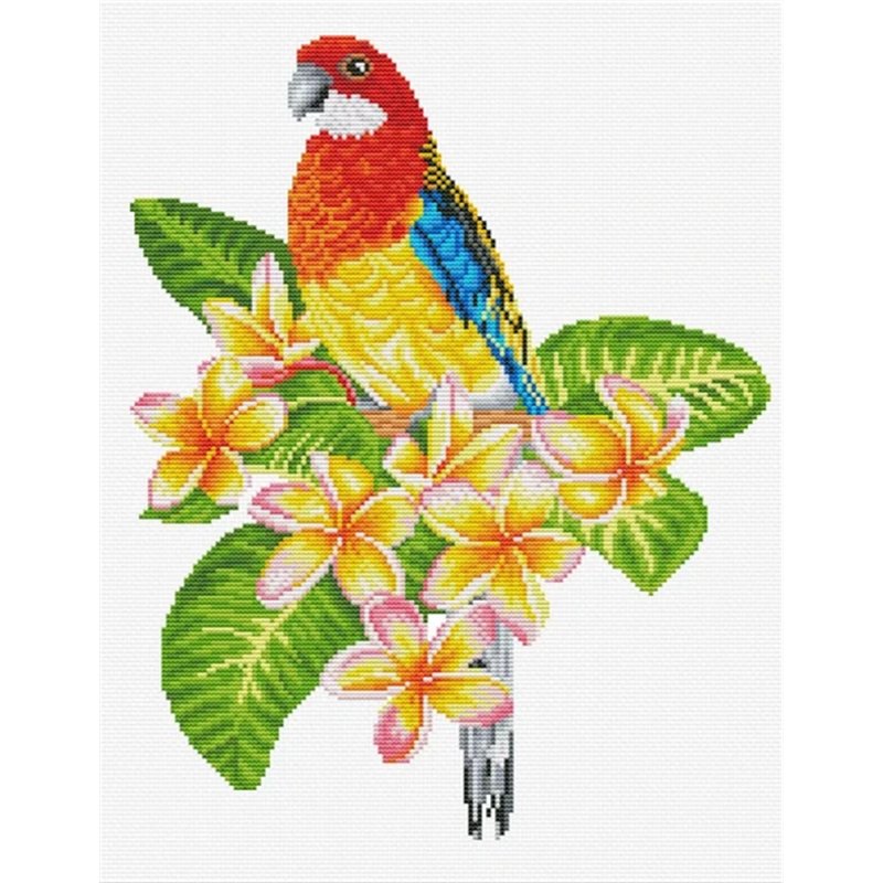 Borduurpakket Frangipanni Rosella Borduurpakket Frangipanni Rosella
