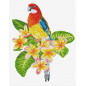 Borduurpakket Frangipanni Rosella Borduurpakket Frangipanni Rosella