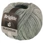 Brigitte Silkdream 15 Grau Brigitte Silkdream 15 Grau