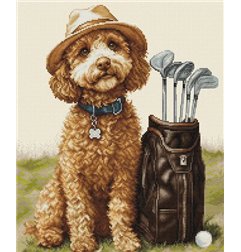 Luca-S Kit de broderie Le maître golfeur