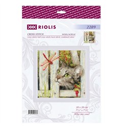 Embroidery kit Who are you?