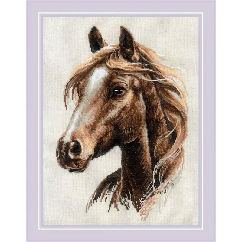 Embroidery kit Proud Spirit Embroidery kit Proud Spirit