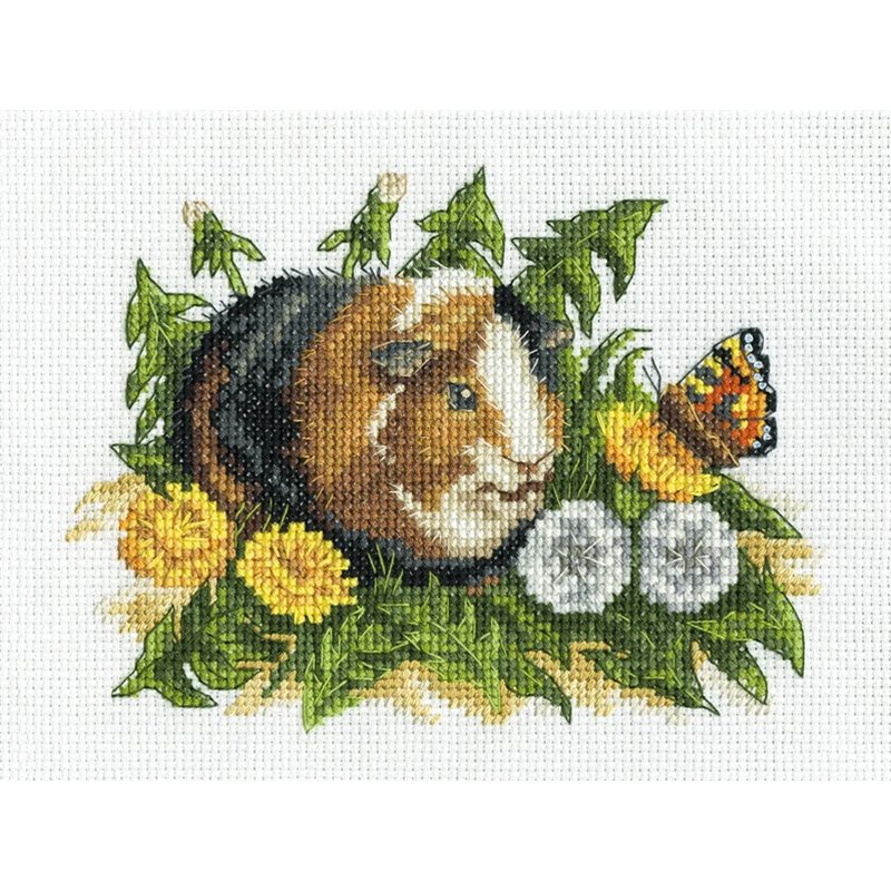 Kit de broderie Cobaye