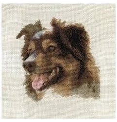 Kit e broderie Berger anglais