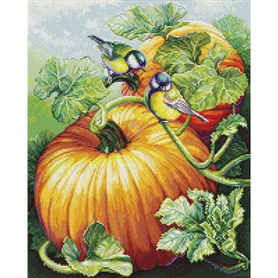 Luca-S Kit de broderie Oiseaux sur une citrouille