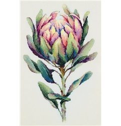 Embroidery kit Protea