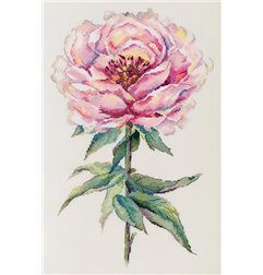 Kit e broderie Pivoine