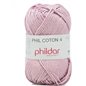 Phil Coton 4 Camelia Phil Coton 4 Camelia