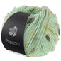 Popcorn 16 Witgroen Popcorn 16 Witgroen