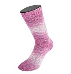 Lana Grossa Meilenweit 100 Woolycell Duo 6002