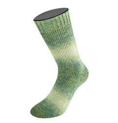 Lana Grossa Meilenweit 100 Woolycell Duo 6008