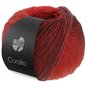Corallo 05 Rood