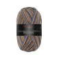 Pro Lana Golden Socks Belchen 3021