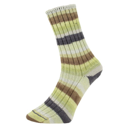 Sokkenwol Pro Lana Golden Socks Tannheim 5 190.06