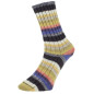 Pro Lana Golden Socks Tannheim 5 190.07 Pro Lana Golden Socks Tannheim 5 190.07