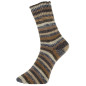 Pro Lana Golden Socks Schneewelt 37905