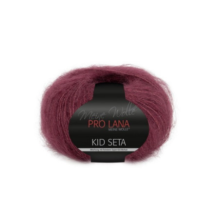  Prolana Pro Lana Kid Seta 38