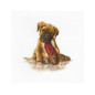 Stickset Der Boxer Stickset Der Boxer
