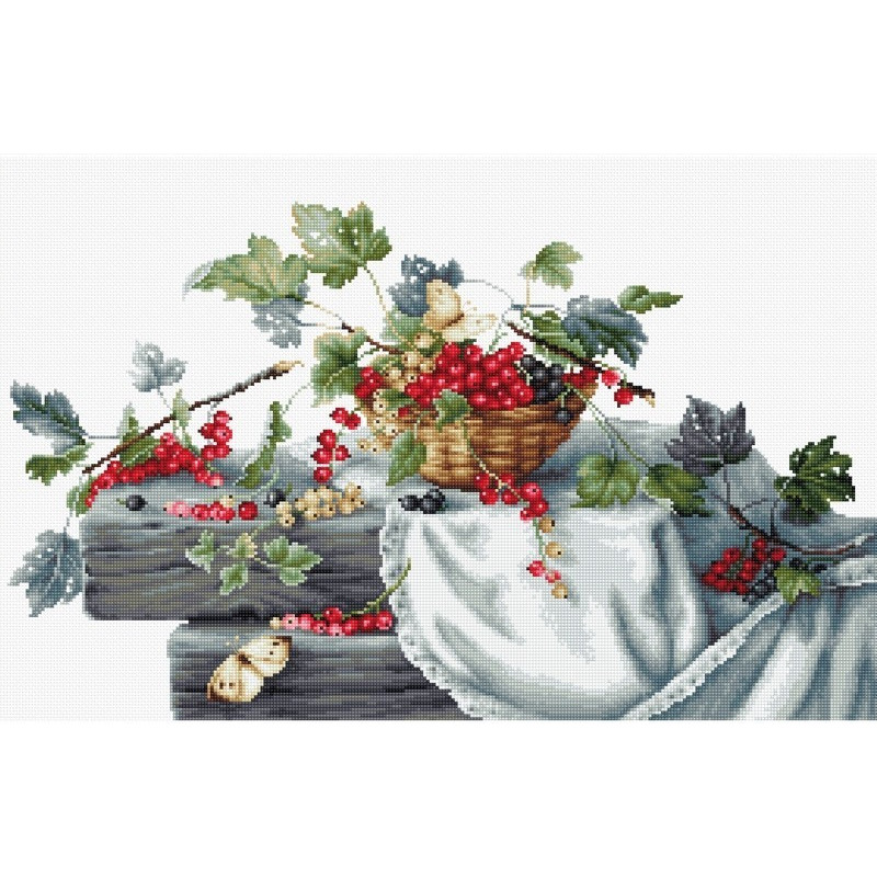 Borduurpakket Aalbes Borduurpakket Aalbes