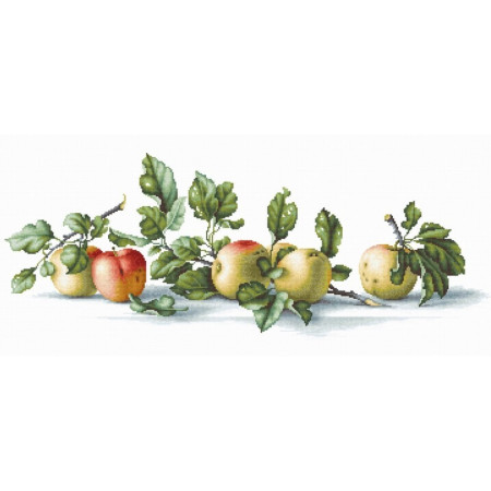 Stickset Äpfel