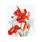 Borduurpakket Poppies 6 Borduurpakket Poppies 6