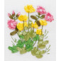 Borduurpakket Boterbloemen en longkruid