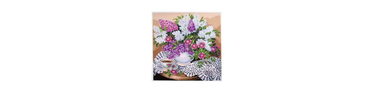 Embroidery kits pre printed without threads
